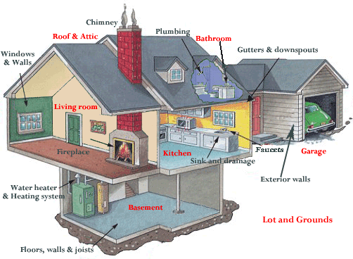 House Cross Section